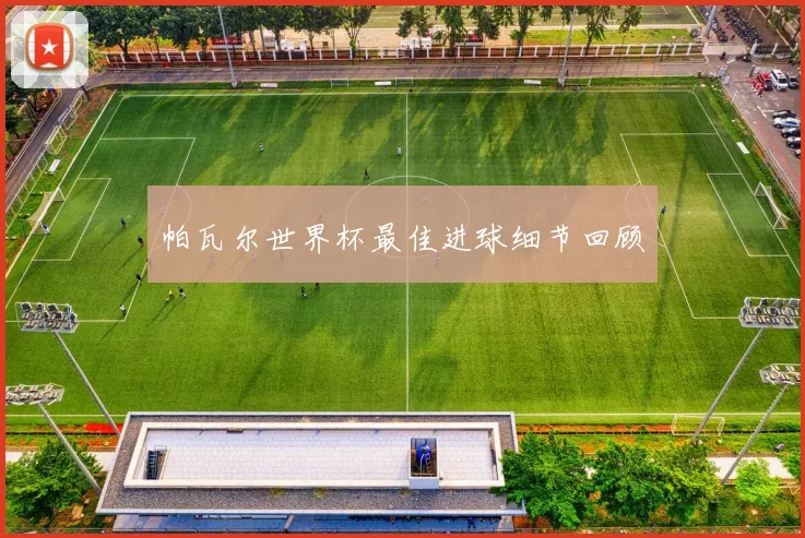 帕瓦尔世界杯最佳进球细节回顾