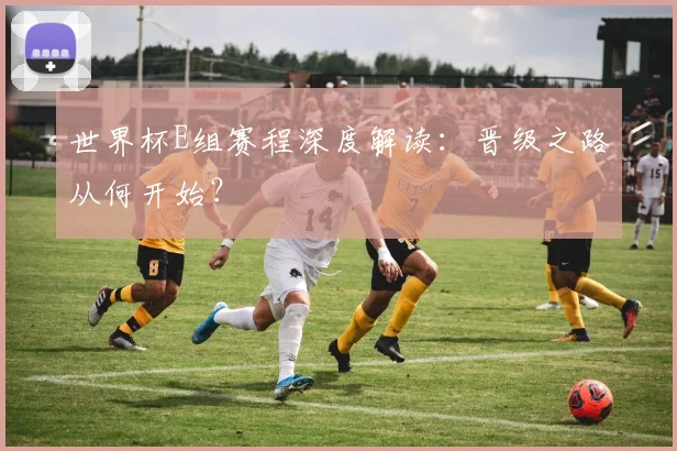 世界杯E组赛程深度解读：晋级之路从何开始？